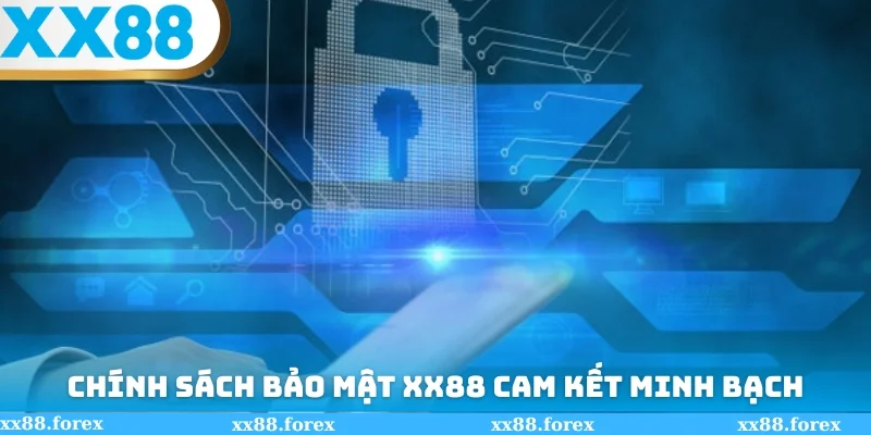 Hệ thống cam kết tiếp nhận lý lịch minh bạch